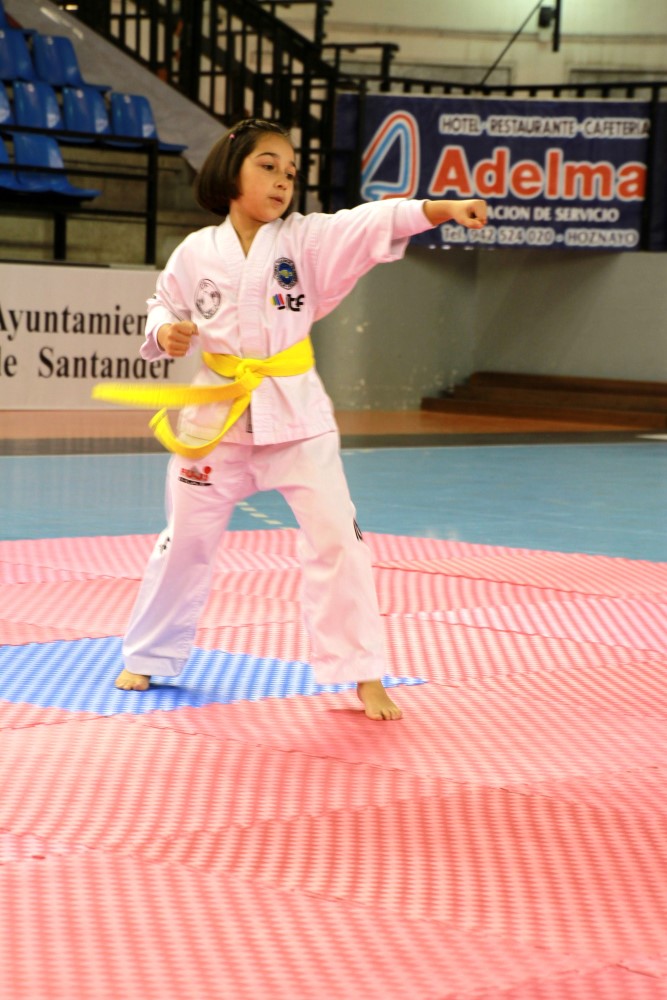 Taekwondo Dic 2016 (179).jpg